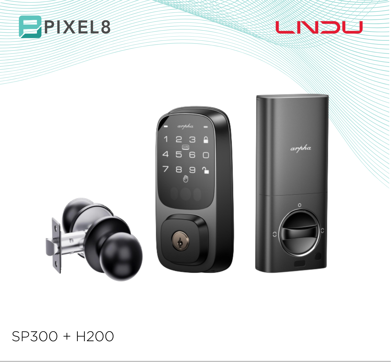 SP300 + H200