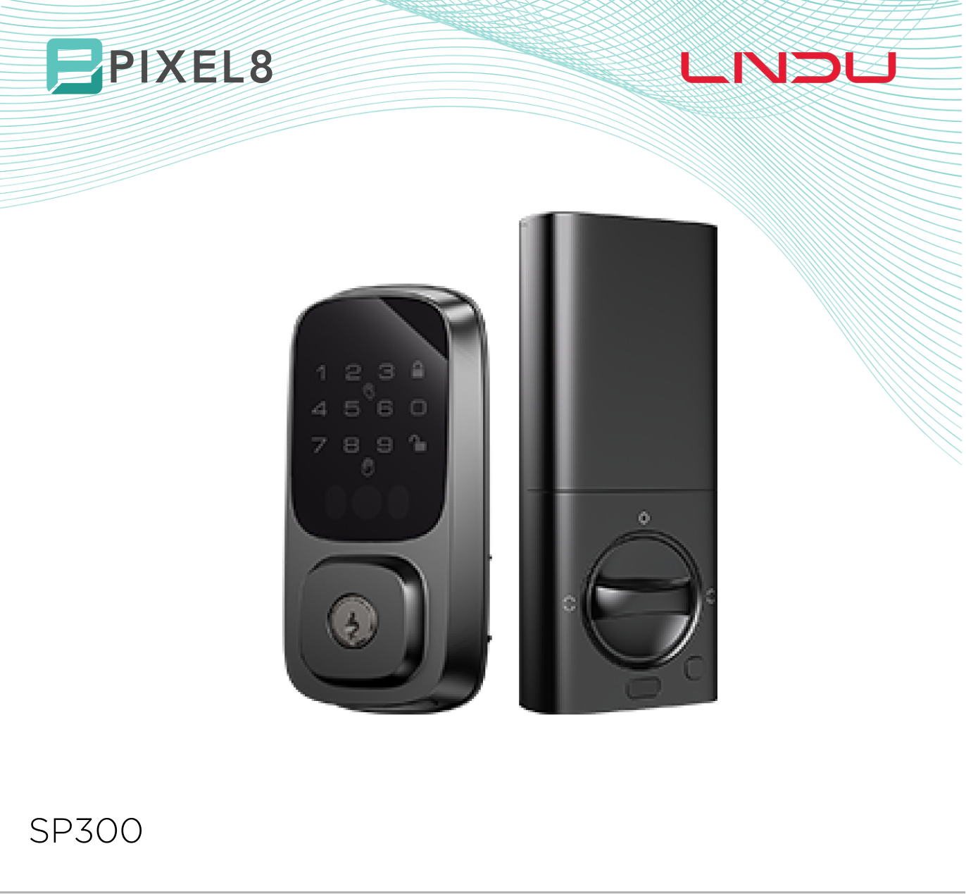 SP300