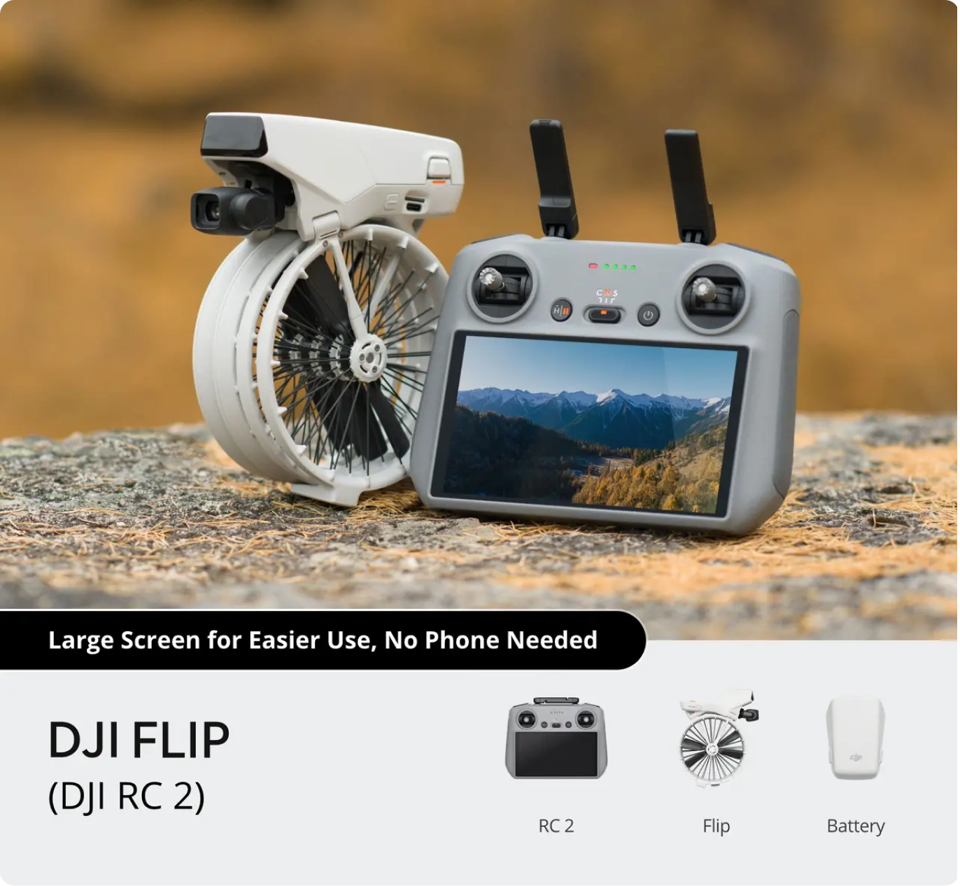 DJI Flip